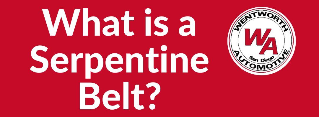 What is a Serpentine Belt Serpentine Belt