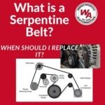 Serpentine Belt
